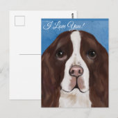 ENGLISH SPRINGER SPANIEL POSTKARTE (Vorne/Hinten)