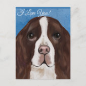 ENGLISH SPRINGER SPANIEL POSTKARTE (Vorderseite)