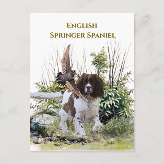 English Springer Spaniel Postkarte (Vorderseite)