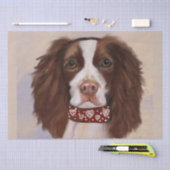 ENGLISH SPRINGER SPANIEL SEIDENPAPIER (Handwerk)