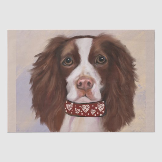 ENGLISH SPRINGER SPANIEL SEIDENPAPIER (Vorderseite)
