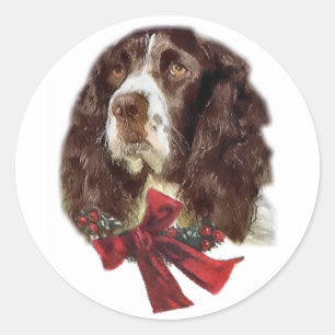 English Springer Spaniel Weihnachtsgeschenke Runder Aufkleber