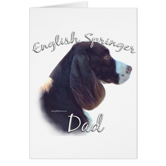 English Springer Spanier Vater 2 (Vorne)