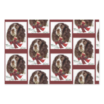 English Springer Spanier Weihnachten