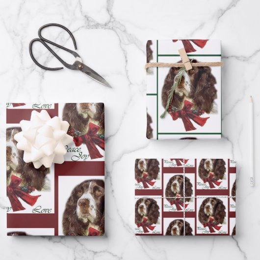 English Springer Spanier Weihnachten Geschenkpapier Set (Vorderseite)