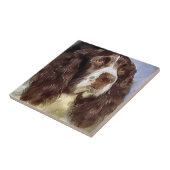 English Springer Spanisch Art Fliese (Seite)
