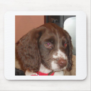 English_Springer_Spanisch lw Welpe Mousepad