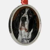 English Springer Spanisch Personalisiert Pet Foto Ornament Aus Metall (Rechts)