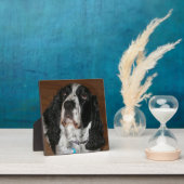 English Springer Spanisch Pet Foto Square Fotoplatte (InSitu)