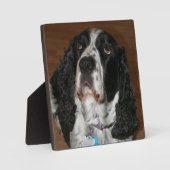 English Springer Spanisch Pet Foto Square Fotoplatte (Vorderseite)