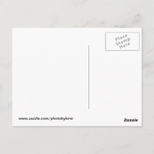 English Springer Spanisch Puppy Card Postkarte (Rückseite)