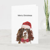 English Springer Spanisch Weihnachtskarte Karte (Vorderseite)