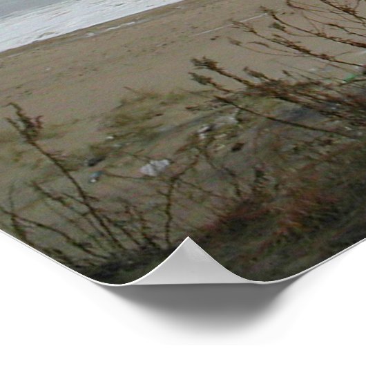 English Springer Spanische Print Poster (Ecke)