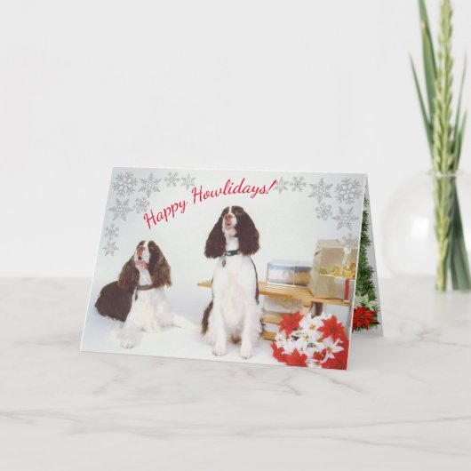 English Springer Spanische Weihnachtskarte Feiertagskarte (Vorderseite)