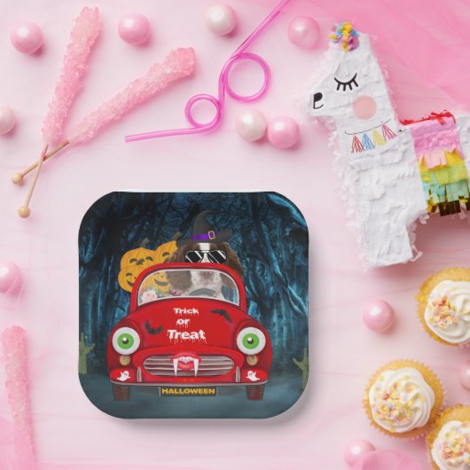 English Springer Spanischer Hund Car Beängstigend  Pappteller (Party)