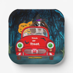 English Springer Spanischer Hund Car Beängstigend Pappteller