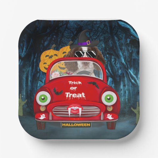 English Springer Spanischer Hund Car Beängstigend Pappteller (Vorderseite)