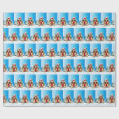 English Springer Spanischer Hund mit Weihnachtsges Geschenkpapier (Flach)