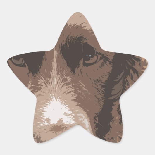 English Springer Stern-Aufkleber (Vorderseite)