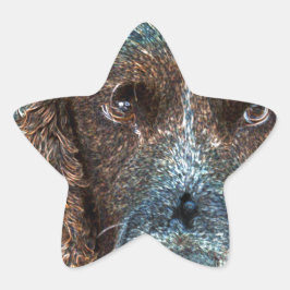 English Springer Stern-Aufkleber