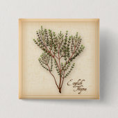 English Thyme Herb Button (Vorderseite)