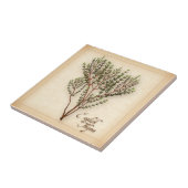 English Thyme Herb Fliese (Seite)