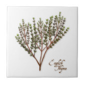 English Thyme Herb Keramik Tile Fliese (Vorderseite)