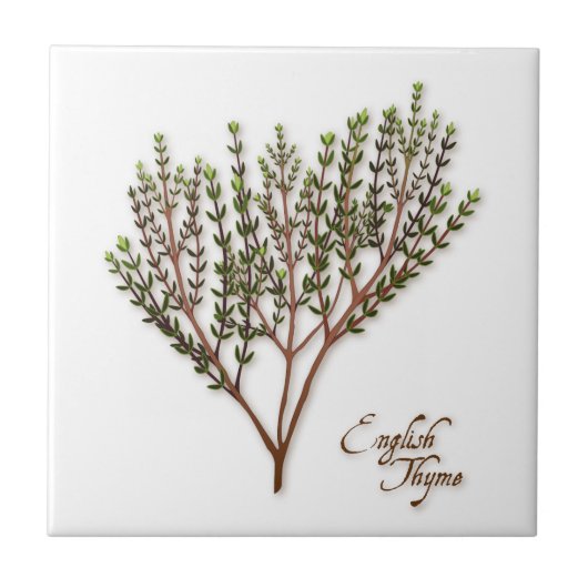 English Thyme Herb Keramik Tile Fliese (Vorderseite)