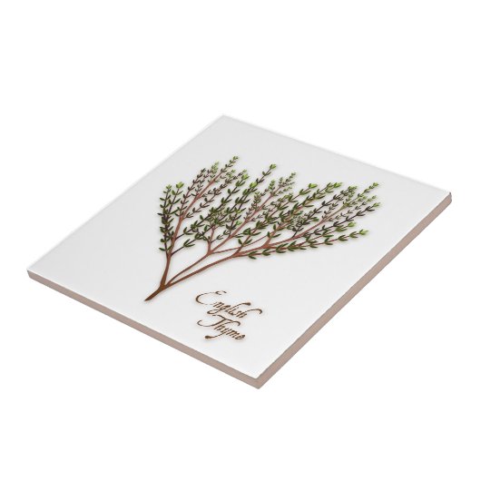English Thyme Herb Keramik Tile Fliese (Seite)