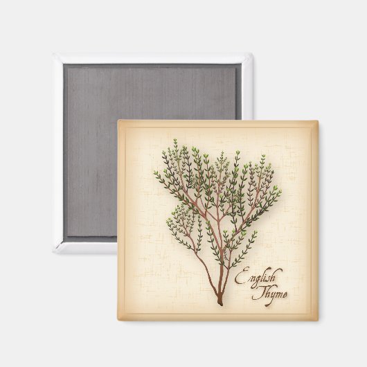 English Thyme Herb Magnet (Vorderseite/Rückseite)