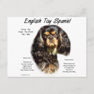 English Toy Spaniel (King charles) Historisches De Postkarte