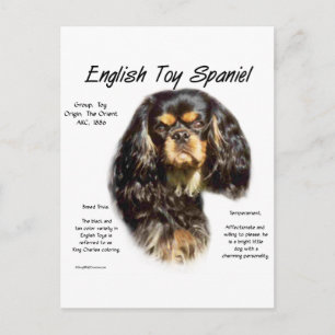 English Toy Spaniel (King charles) Historisches De Postkarte