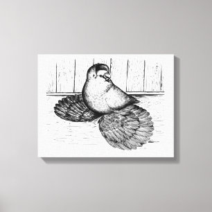 English Trumpeter Pigeon Ink Artwork Leinwanddruck
