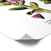 English Wild Blume Nr. 12 Botanical Illustration Poster (Ecke)