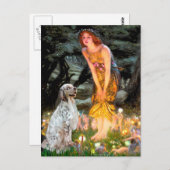 EnglishSetter 1 - MidEve Postkarte (Vorne/Hinten)