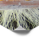 Enigma der Natur Poster (Ecke)