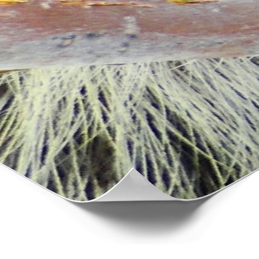 Enigma der Natur Poster (Ecke)