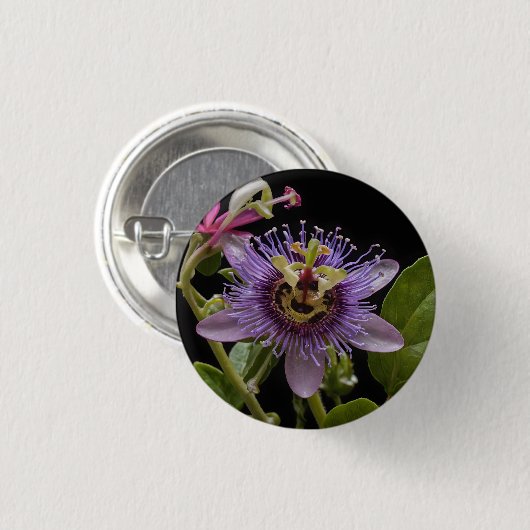 Enigmatic Beauty: Die Lila Passion-Blume Button (Vorne & Hinten)