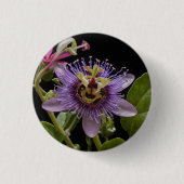 Enigmatic Beauty: Die Lila Passion-Blume Button (Vorderseite)