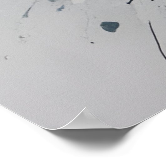 Enigmatic White Blue Rose Poster (Ecke)