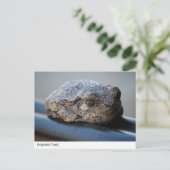Enigmatischer Toad Postkarte (Stehend Vorderseite)