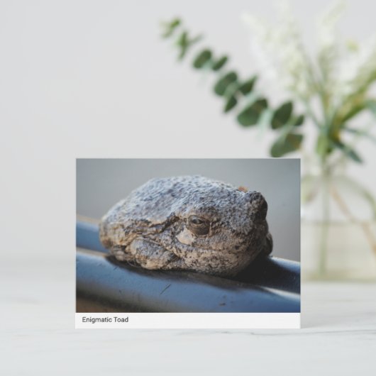 Enigmatischer Toad Postkarte (Stehend Vorderseite)
