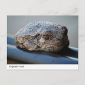 Enigmatischer Toad Postkarte (Vorderseite)