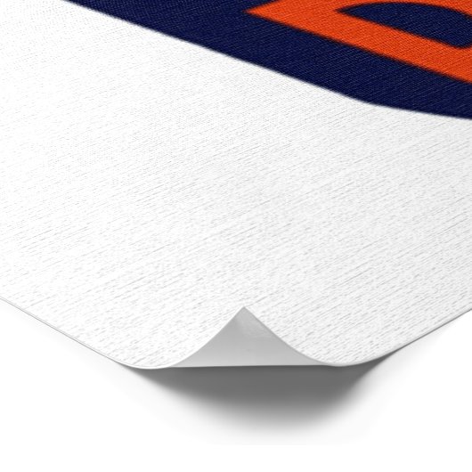 Enjoy Don't Destroy Poster (Ecke)