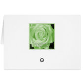 Enkelin St. Patrick's Irish Rose (Rückseite Horizontal)