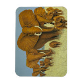 Enorm, aber gekümmert magnet (Vertikal)