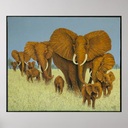 Enorm, aber gekümmert poster (Vorne)