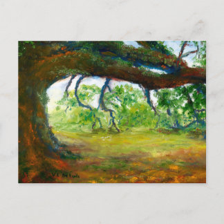 Enorme alte Louisiana-Eiche Postkarte
