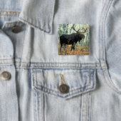 Enorme Elche Button (Beispiel)