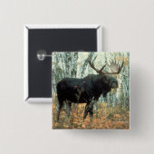 Enorme Elche Button (Vorne & Hinten)